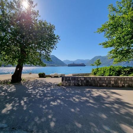 Studio On The Coast, With A View Of The Sunrise,Free We-Fi Kotor Extérieur photo