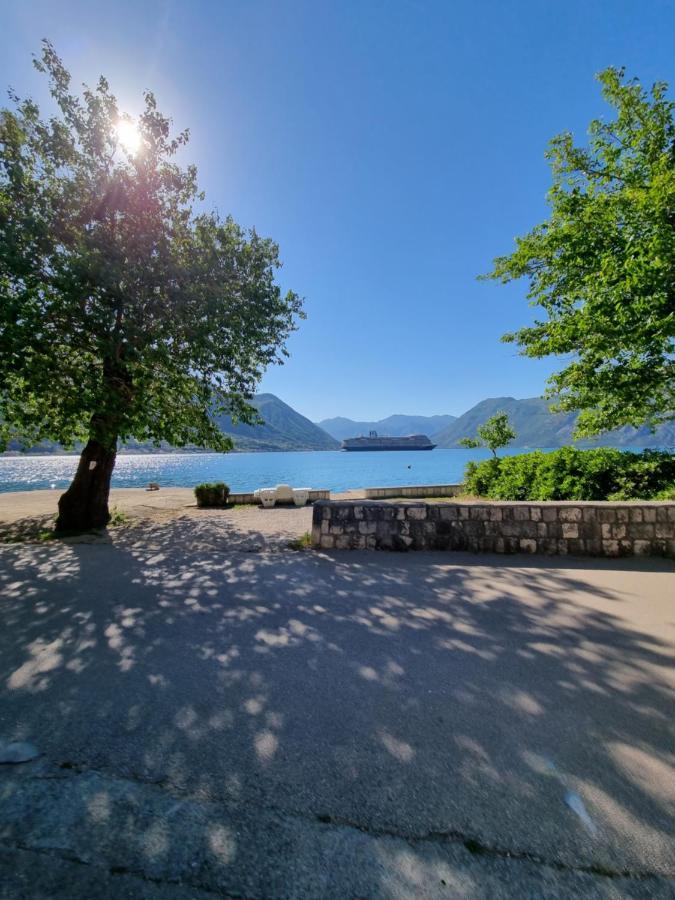 Studio On The Coast, With A View Of The Sunrise,Free We-Fi Kotor Extérieur photo