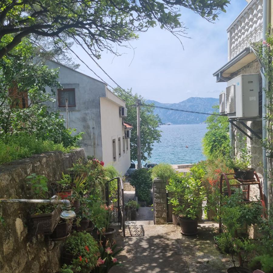 Studio On The Coast, With A View Of The Sunrise,Free We-Fi Kotor Extérieur photo