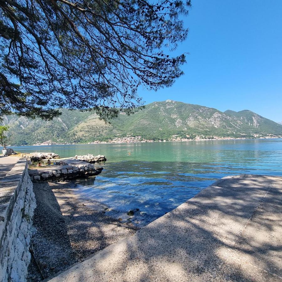 Studio On The Coast, With A View Of The Sunrise,Free We-Fi Kotor Extérieur photo